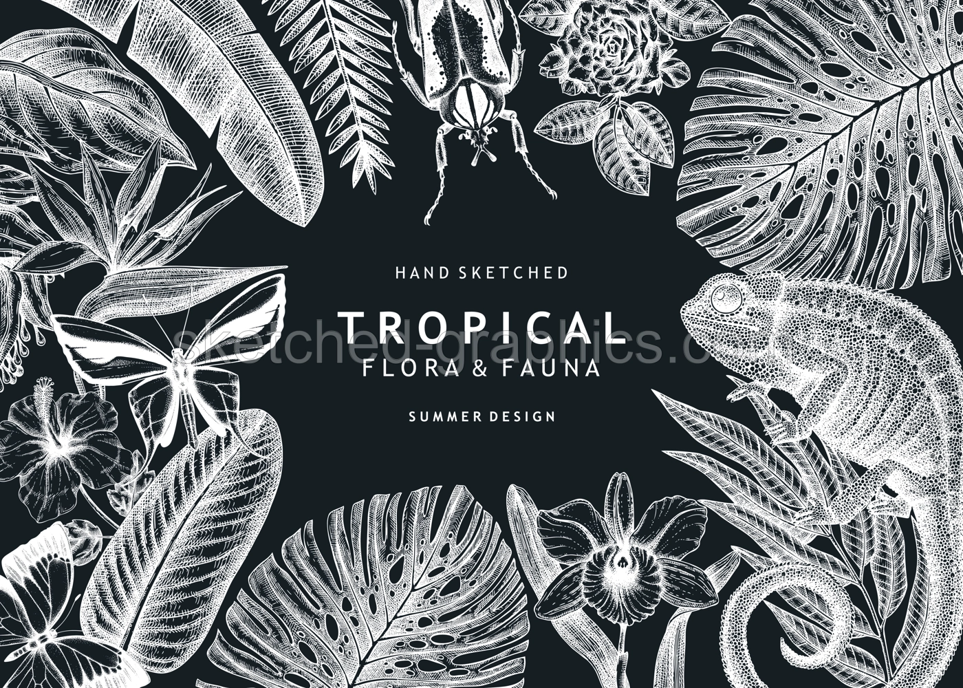 Tropical banner design on chalkboard. Vector frame with hand drawn tropical plants, exotic flowers, palm leaves, insects and chameleon. Vintage wildlife background with tropical plants and animals. Illustration
